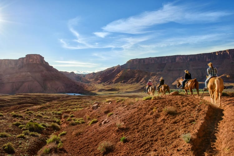 Trail rides